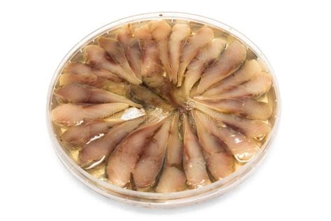 Canned herring in oil stock photo. Image of product, preserve - 32266586