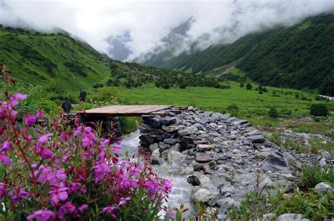 Nanda Devi Sanctuary Trekking in Garhwal India