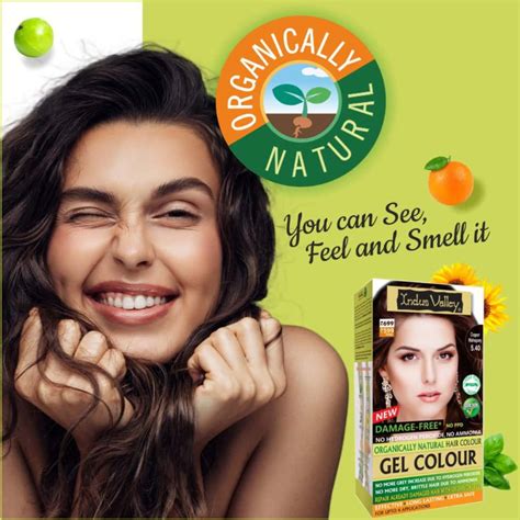 Buy INDUS VALLEY ORGANICALLY NATURAL DAMAGE FREE GEL HAIR COLOR-COPPER MAHOGANY Online & Get ...