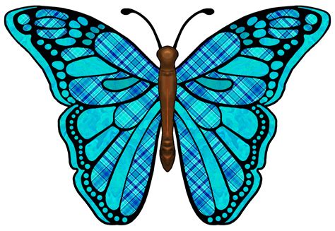 Patterns On Butterfly Wings - ClipArt Best