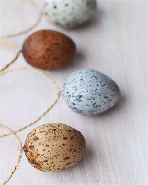 Magpie eggs 🌿 #charmingcreatures | Charmin, Steele, Instagram posts