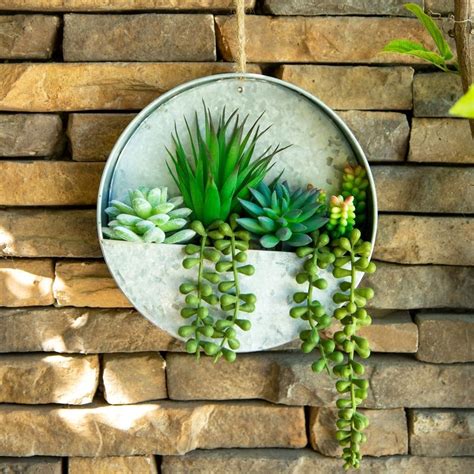 Succulent in 8" Hanging Galvanised Tin Wall Planter - ONE-SIZE (ONE ...