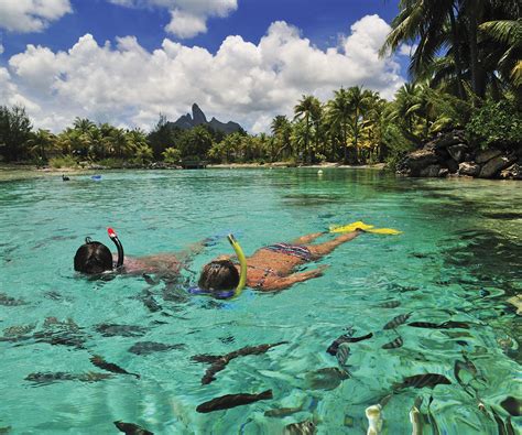 Pure Snorkeling Ecotour in the Bora Bora lagoon - Tahiti Excursions