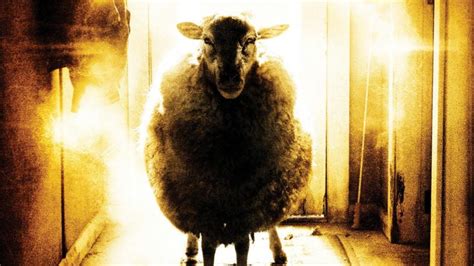 Free download Black Sheep wallpaper ForWallpapercom [808x606] for your Desktop, Mobile & Tablet ...