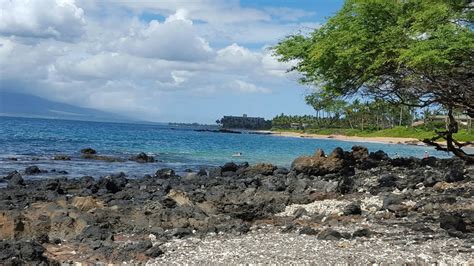 Ulua Beach Park - 63 Photos & 48 Reviews - Beaches - Halealii Pl ...