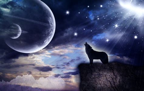 🔥 [70+] Wolf Howling At The Moon Wallpapers | WallpaperSafari