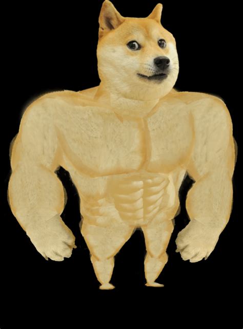 swole doge Memes - Imgflip