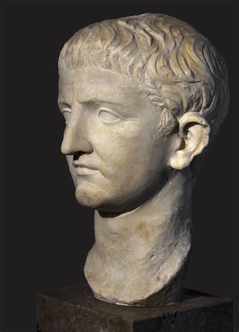 Portrait head of a prince of the Julio-Claudian dynasty (Drusus the Younger or the Senior or ...