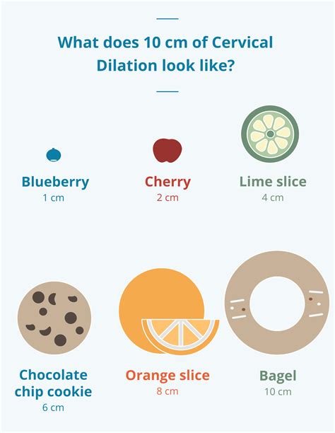 cervix-dilation-chart - Gabrielle Orcutt