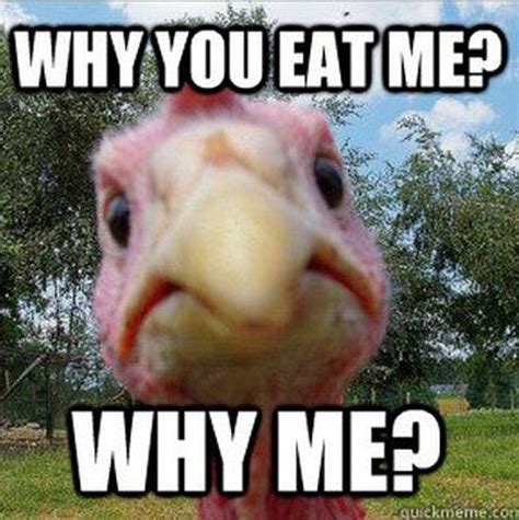 11 Turkey Memes That Will Get You Ready to Blast Those Birds | Happy ...