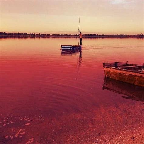 Tatiana MA on Twitter | Lake retba, Lake retba senegal, Lake