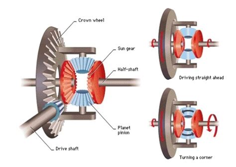 DRIVE LINE AND DIFFERENTIAL