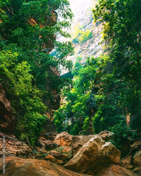 Landscape of image of narrow valley with steep mountains and trees ...