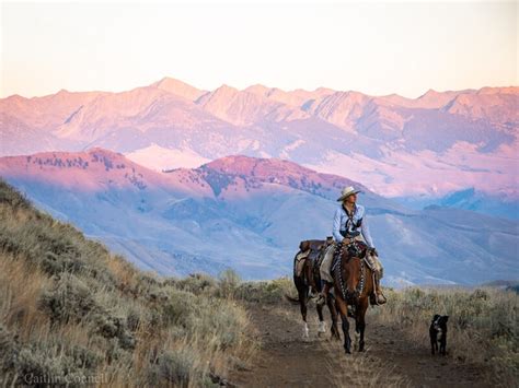 Contact Alderspring Ranch - Alderspring Ranch Organic Grass Fed Beef