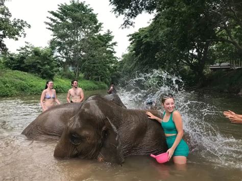 Swimming With Elephants in Thailand - Elephant Freedom Project Chiang ...