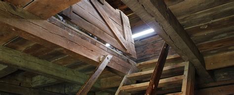 Attic Mold Causation- The Most Common Causes of Attic Mold Growth In NJ