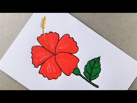 How To Draw An Easy Hawaiian Flower | Best Flower Site