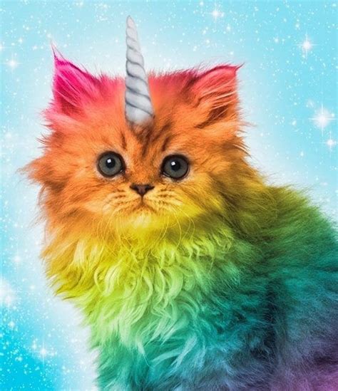 Unicorn kitty www.lularoejilldomme.com | LuLaRoe Business Ideas | Pinterest | Unicorns, Kitty ...