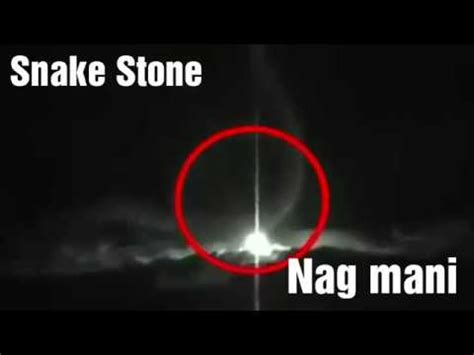 Mani | Nagmani | Snake Stone | World Precious Stone OF Snake. - YouTube