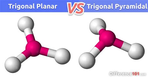 Trigonal Planar vs Trigonal Pyramidal: 6 Key Differences | Difference 101