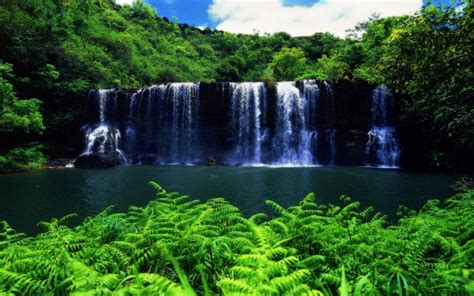 Download HDR Green Tree Hawaii Nature Waterfall Wallpaper