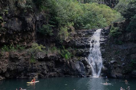 Waimea Valley Botanical Gardens + Waterfall Swim (Full day, $25)