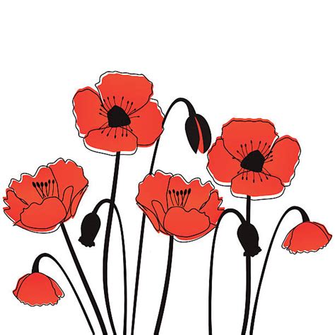 Collection 97+ Images Free Poppy Pictures To Print Excellent