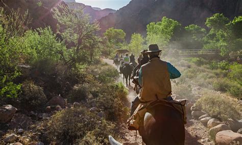 Phantom Ranch, Mule Ride to Phantom Ranch, Grand Canyon Na… | Flickr