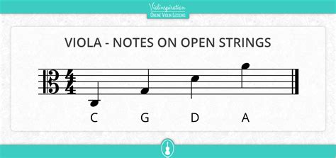 Viola String Notes and Fingering Charts | Viola Basics - Violinspiration