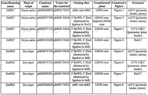 14 Labeled Plant Cell Parts Worksheet / worksheeto.com