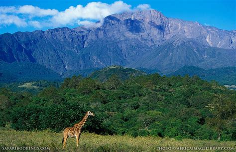 Arusha National Park – Travel Guide, Map & More!