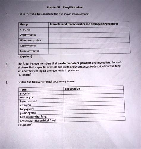 SOLVED: Chapter 31: Fungi Worksheet Fill in the table to summarize the five major groups of ...