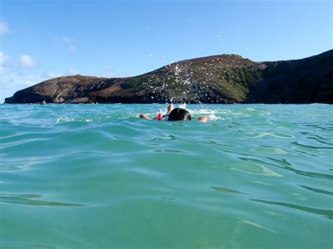 Snorkeling Tours To Do | Activities on Oahu Hawaii