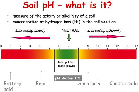 How To Test Soil PH - Agriculture India Farm Department and ...