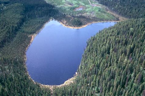 Ministry of Water Land and Air Protection - Omineca Region - PHOTO 1. Aerial view of Nelson Lake ...