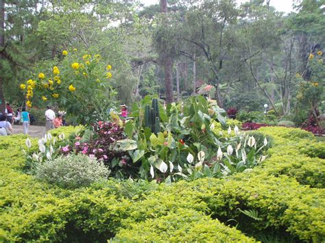 Baguio Botanical Garden, Baguio City, Philippines | Baguio city, Botanical gardens, Scenic