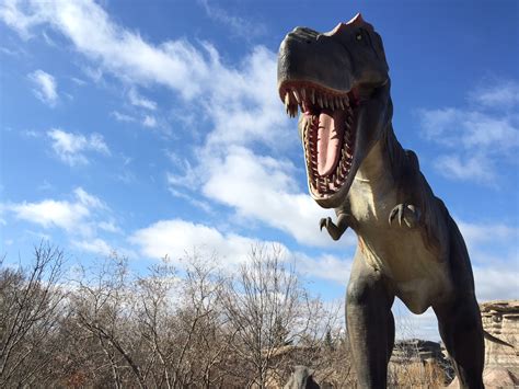 Dinosaurs Alive At The Calgary Zoo — The Blog According To Buzz