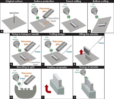 FIB sample preparation of TEM lamella. | Download Scientific Diagram