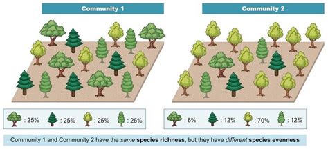 Biodiversity Ninja-Richness & Eveness | Biodiversity, Ecology, Species