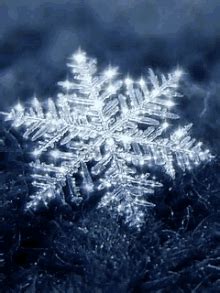 Snowflake GIFs | Tenor