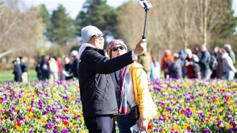 Tulip Gardens Across The Netherlands Have Opened For The Season