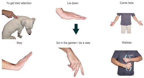 Review Of How To Sign In Asl Dog 2022