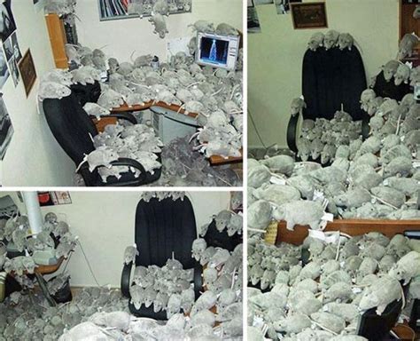 Prank Your Colleagues on April Fool’s Day with One of These Epic Pranks ...