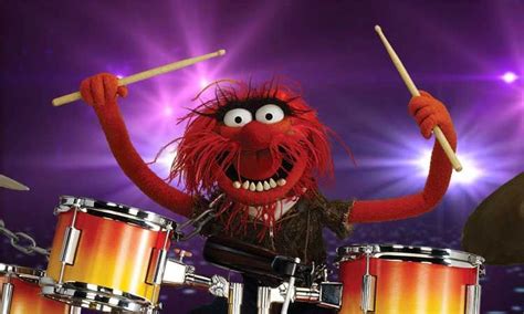 Pin by Michael Paradiso on drum stuff | Muppets, The muppet show, Animals