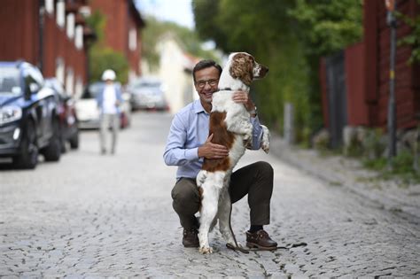 Who is Ulf Kristersson, Sweden’s new PM?