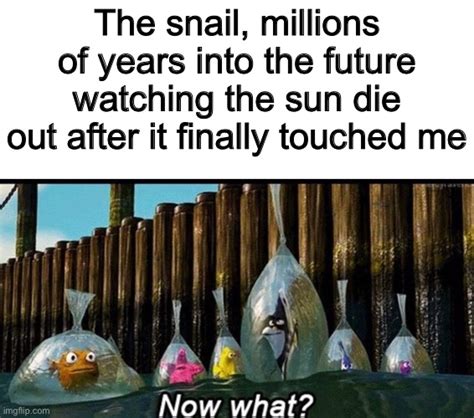 The snail is all alone now - Imgflip