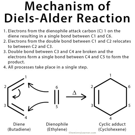 Diels-Alder Reaction: Definition, Examples, and Mechanism