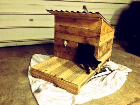 Cat House Made From Recycled Wood Pallets - The Good Human | Cat house, Cat house diy, Feral cat ...