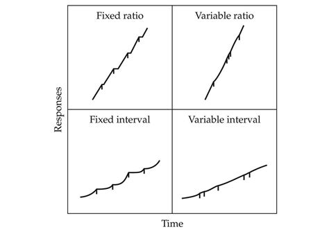 variable interval reinforcement schedules graph for quiz - Google Search | ABA | Pinterest ...