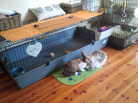 My indoor set-up for my two buns Bobby and Rosie. I joined a large cage ...